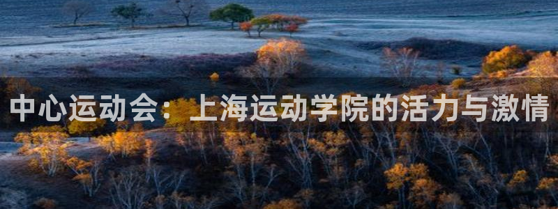 MK体育官方正版app科技:中心运动会:上海运动学院的活力与